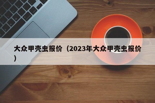 大众甲壳虫报价（2023年大众甲壳虫报价）