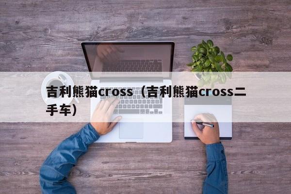 吉利熊猫cross（吉利熊猫cross二手车）