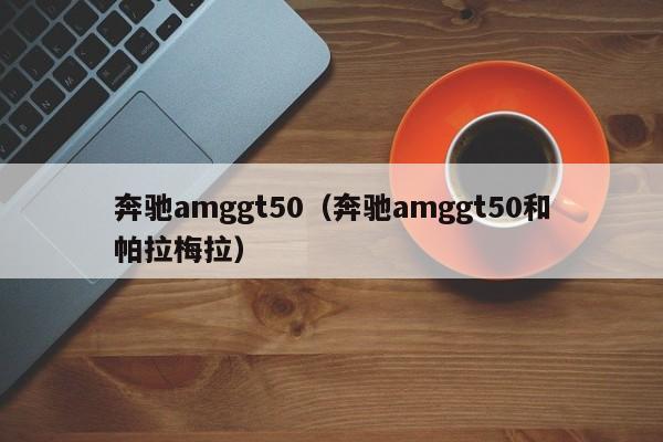 奔驰amggt50（奔驰amggt50和帕拉梅拉）