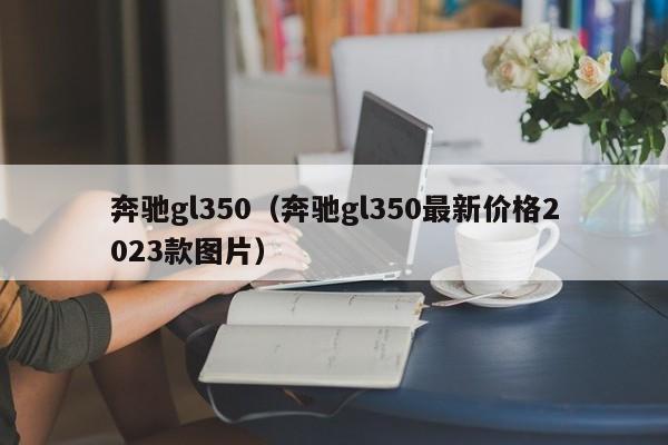 奔驰gl350（奔驰gl350最新价格2023款图片）