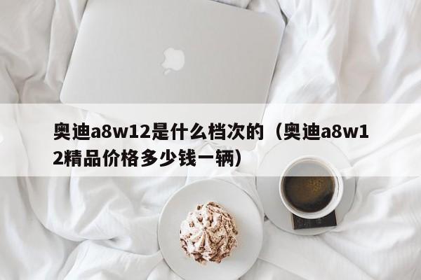 奥迪a8w12是什么档次的（奥迪a8w12精品价格多少钱一辆）