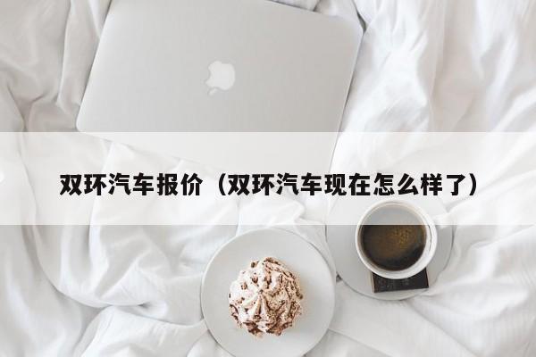 双环汽车报价（双环汽车现在怎么样了）