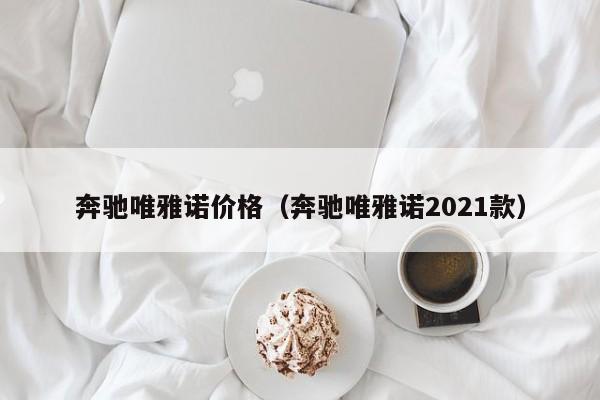 奔驰唯雅诺价格（奔驰唯雅诺2021款）