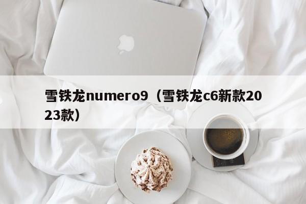 雪铁龙numero9（雪铁龙c6新款2023款）