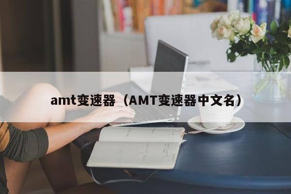 amt变速器（AMT变速器中文名）