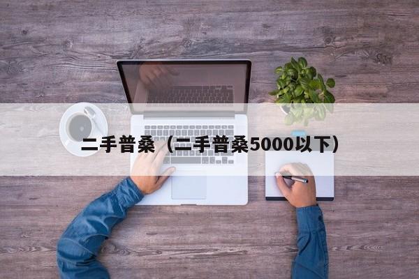 二手普桑（二手普桑5000以下）