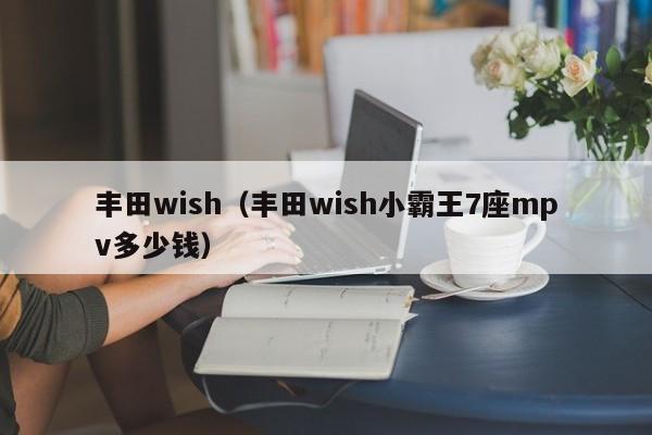 丰田wish（丰田wish小霸王7座mpv多少钱）